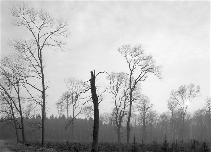 Gigabitfilm  first results 4/7 (Photo: Bodo P. Schmitz, www.zonesystem.de)