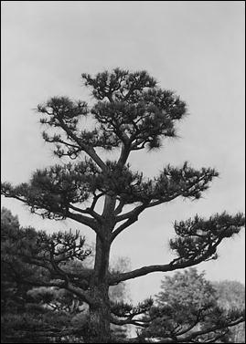 Gigabitfilm  Erste Ergebnisse 6/7 (Foto: Bodo P. Schmitz, www.zonesystem.de)