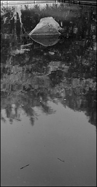 Gigabitfilm  Erste Ergebnisse 7/7 (Foto: Bodo P. Schmitz, www.zonesystem.de)