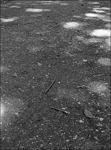 Looking at the shadow 1/4 (Photo: Bodo P. Schmitz, www.zonesystem.de)