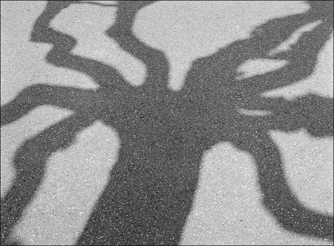 Den Schatten sehen 2/4 (Foto: Bodo P. Schmitz, www.zonesystem.de)