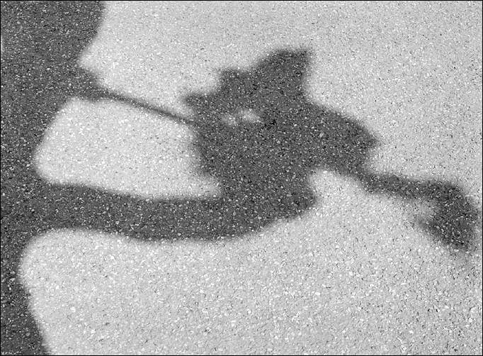 Looking at the shadow 3/4 (Photo: Bodo P. Schmitz, www.zonesystem.de)