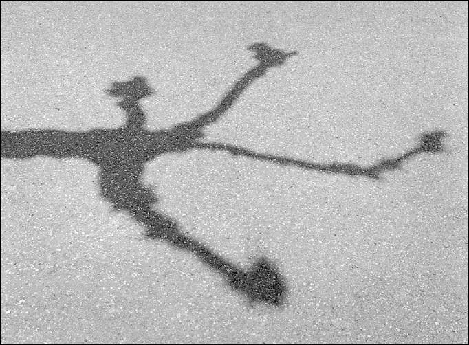 Den Schatten sehen 4/4 (Foto: Bodo P. Schmitz, www.zonesystem.de)